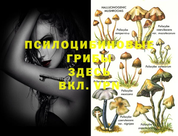 МДМА Михайлов
