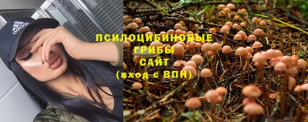 МДМА Михайлов