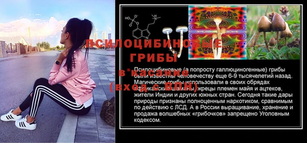 прущая мука Медвежьегорск
