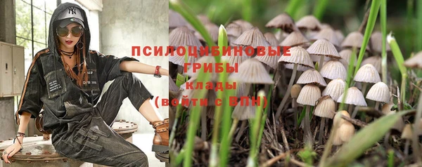 spice Михайловск