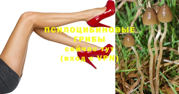 spice Михайловск