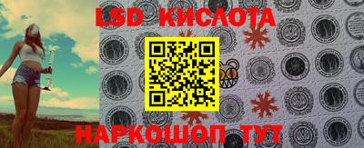 тгк Кингисепп