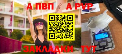 тгк Кингисепп
