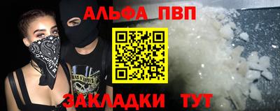 тгк Кингисепп
