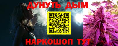 тгк Кингисепп