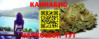 тгк Кингисепп