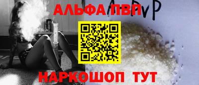 тгк Кингисепп