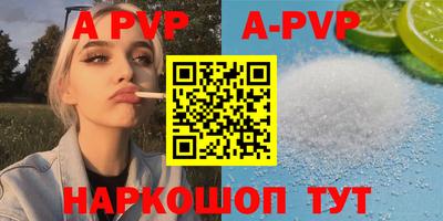 тгк Кингисепп