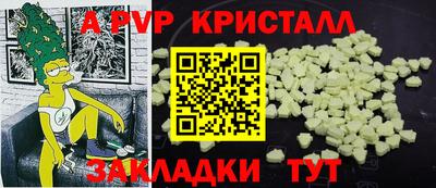 тгк Кингисепп
