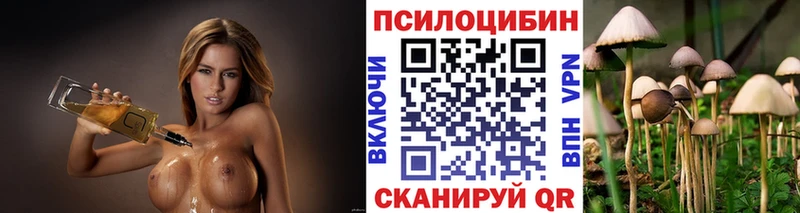 где продают наркотики Ульяновск Галлюциногенные грибы GOLDEN TEACHER