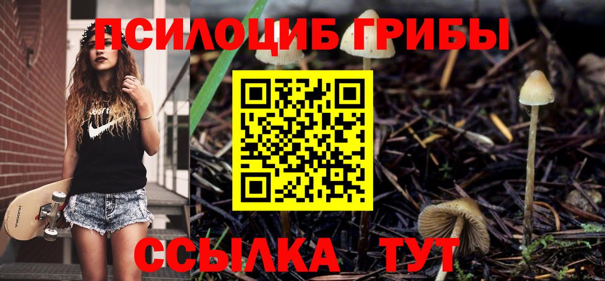 Галлюциногенные грибы MAGIC MUSHROOMS Ульяновск