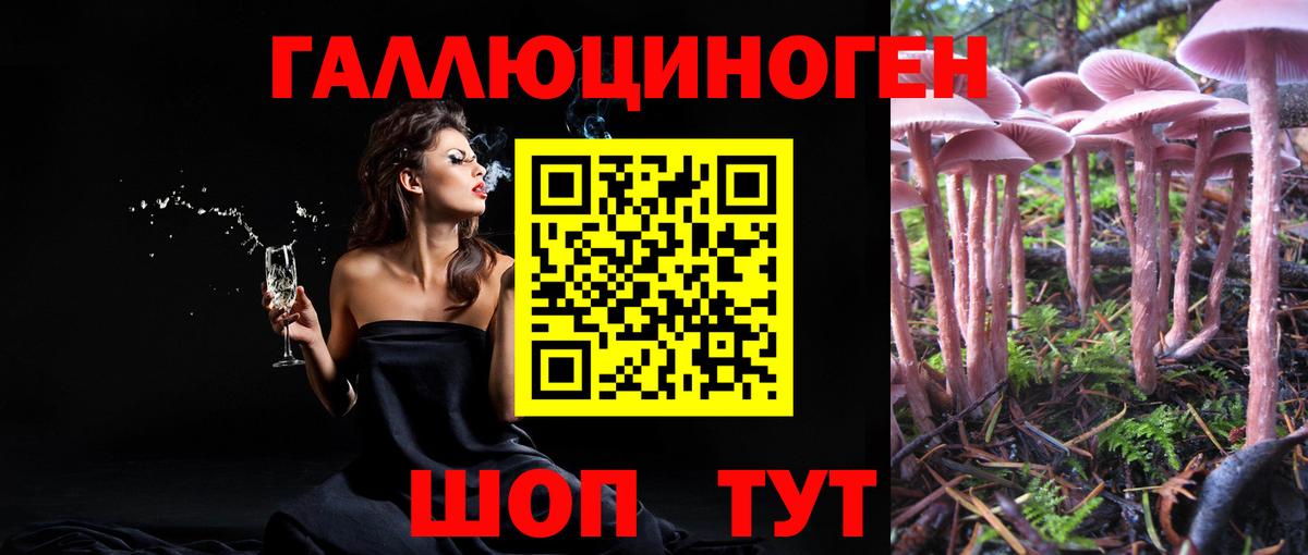Псилоцибиновые грибы прущие грибы Ульяновск