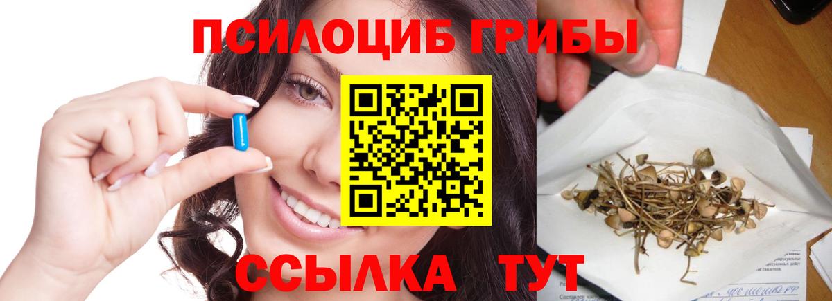 Псилоцибиновые грибы прущие грибы  купить наркоту  Галлюциногенные грибы прущие грибы  Ульяновск 